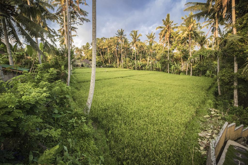 Serenity Ubud Villa & Spa Exterior photo