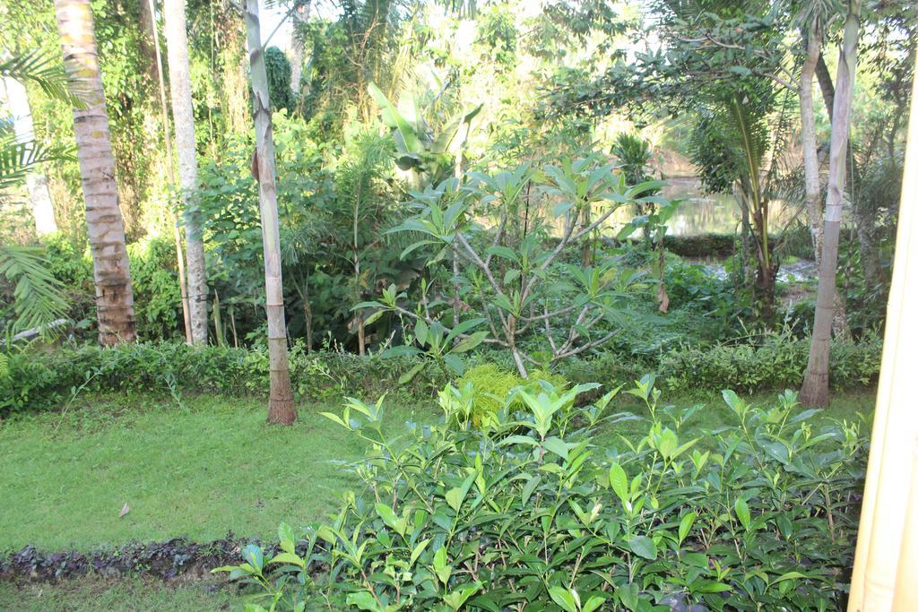 Serenity Ubud Villa & Spa Exterior photo